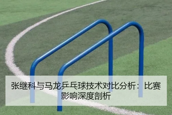 张继科与马龙乒乓球技术对比分析：比赛影响深度剖析